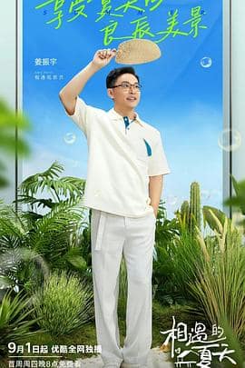 相遇的夏天 纯享版封面