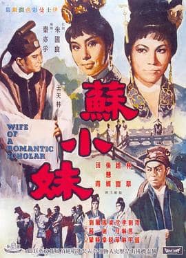 苏小妹封面