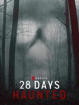 闹鬼实境28天封面