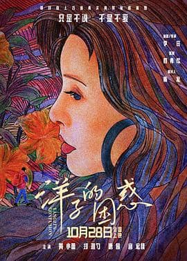 洋子的困惑封面