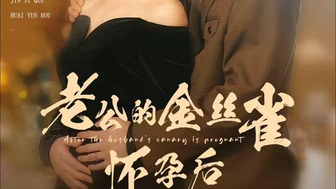 老公的金丝雀怀孕后封面