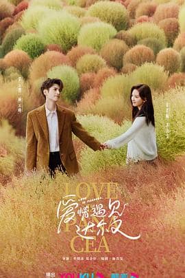 治愈系恋人封面