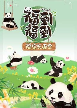 福到福到福宝见面会封面