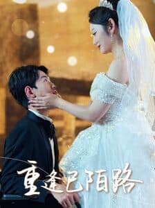 重逢已陌路（林千金她装不下去了）（她如月光碎向星夜）封面
