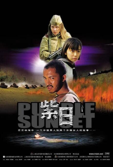 紫日封面
