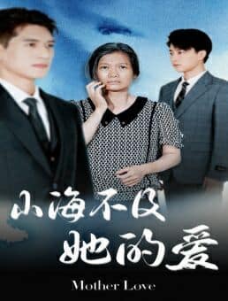 山海不及她的爱封面