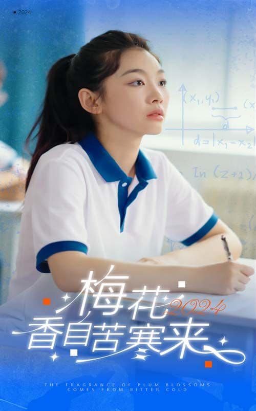 梅花香自苦寒来封面