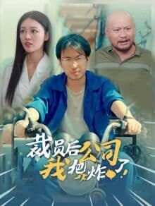 裁员后我把公司炸了封面