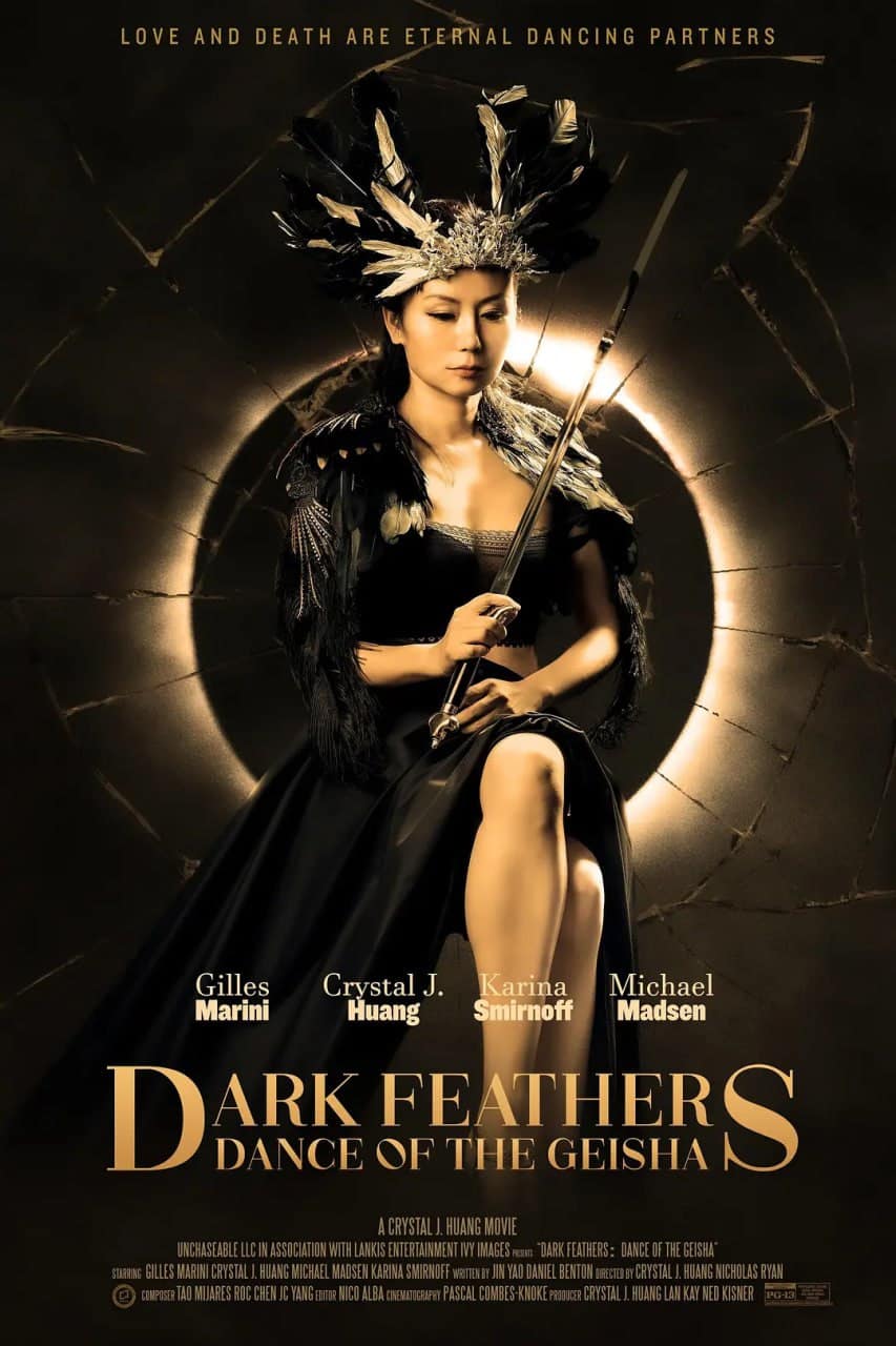 暗翎之舞 Dark Feathers封面