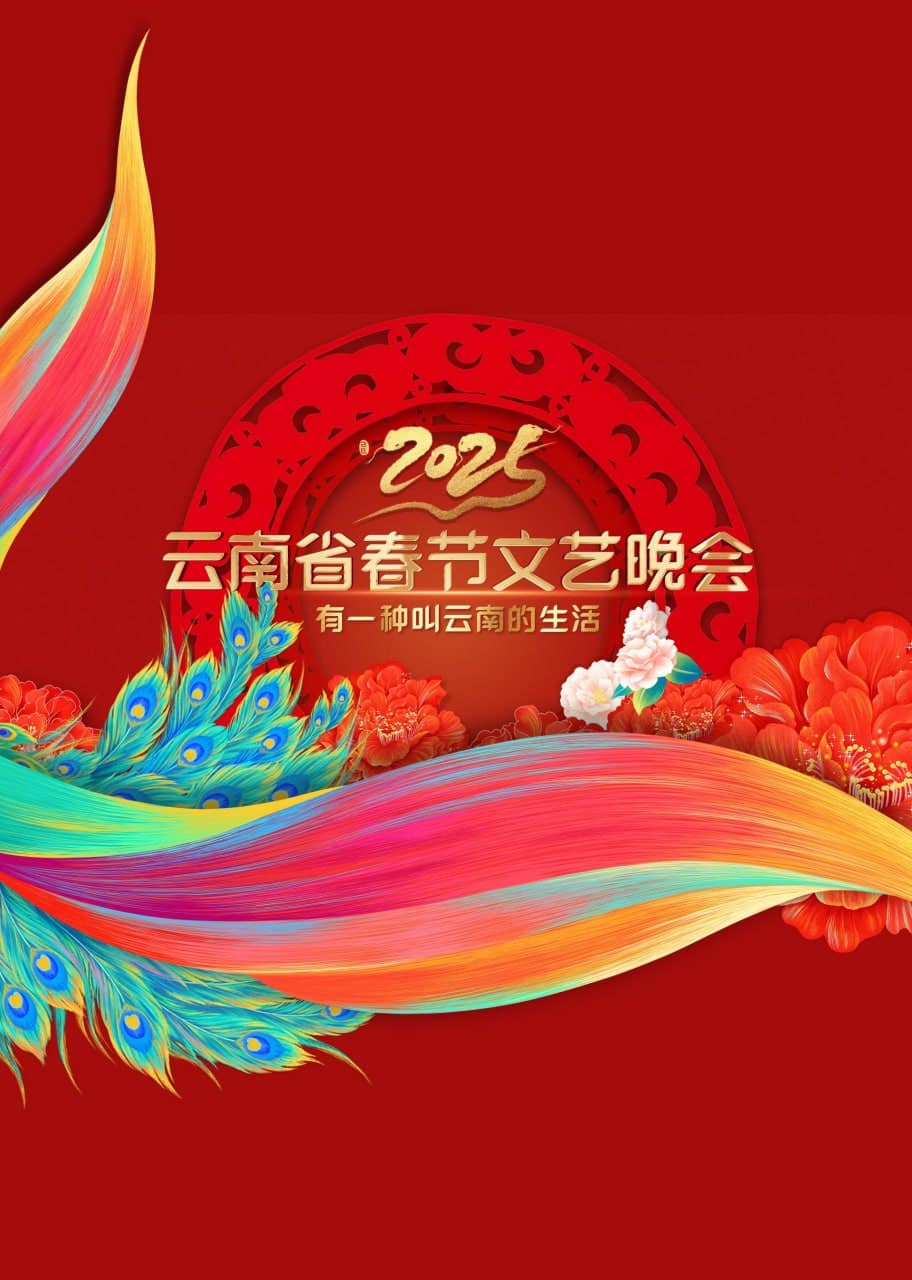 2025云南春晚封面