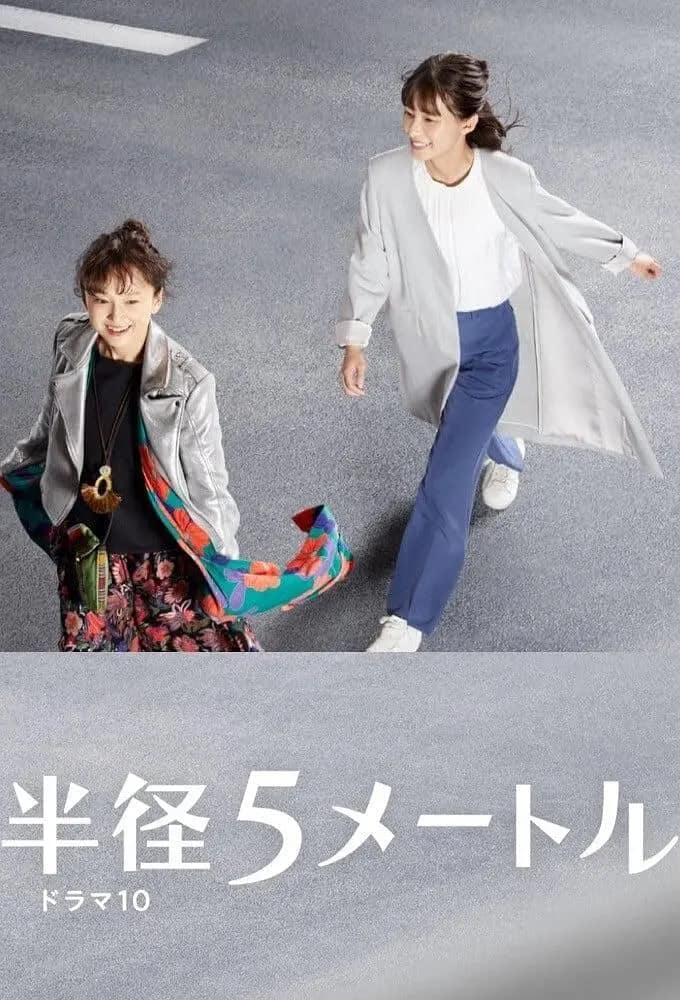 半径5米封面