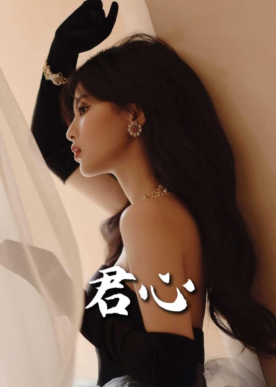君心封面