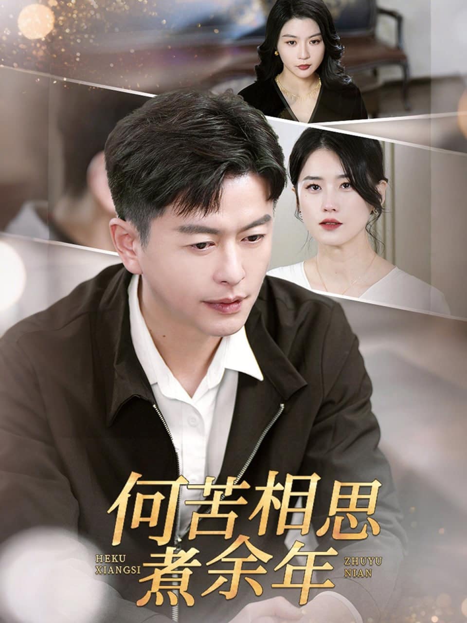 何苦相思煮余年封面