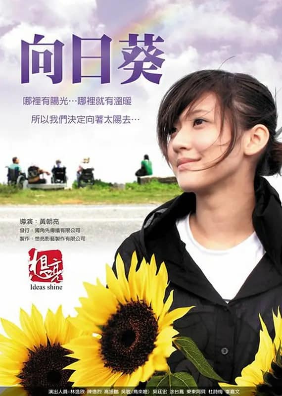 向日葵封面