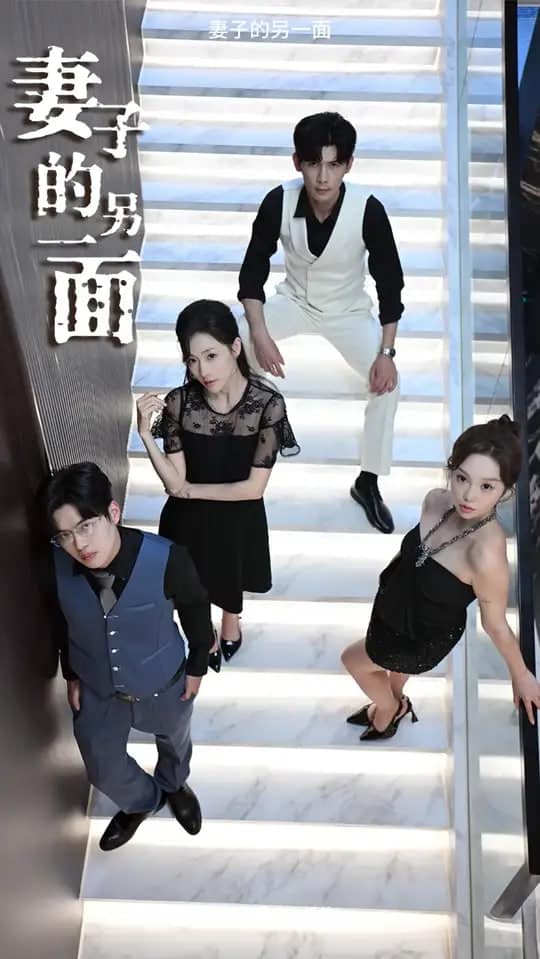妻子的另一面封面