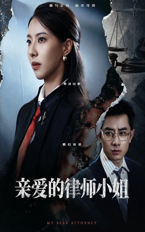 亲爱的律师小姐封面