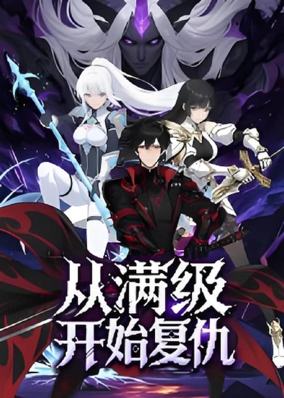 从满级开始复仇封面