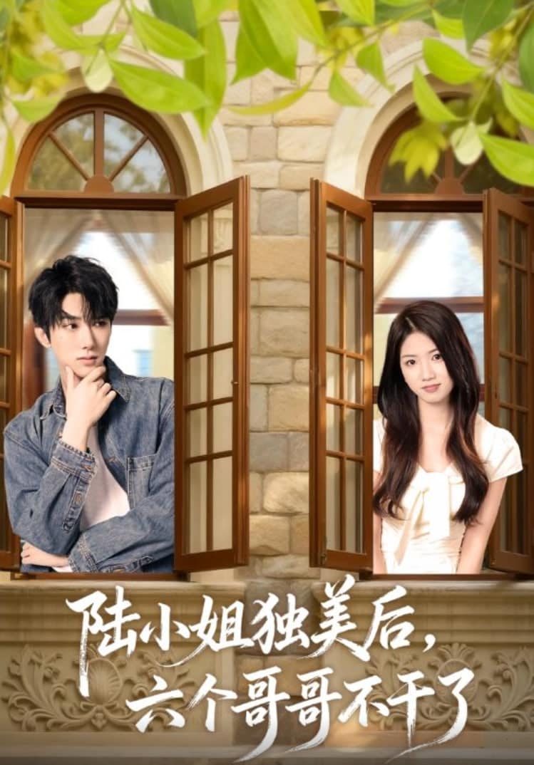 陆小姐独美后六个哥哥不干了封面