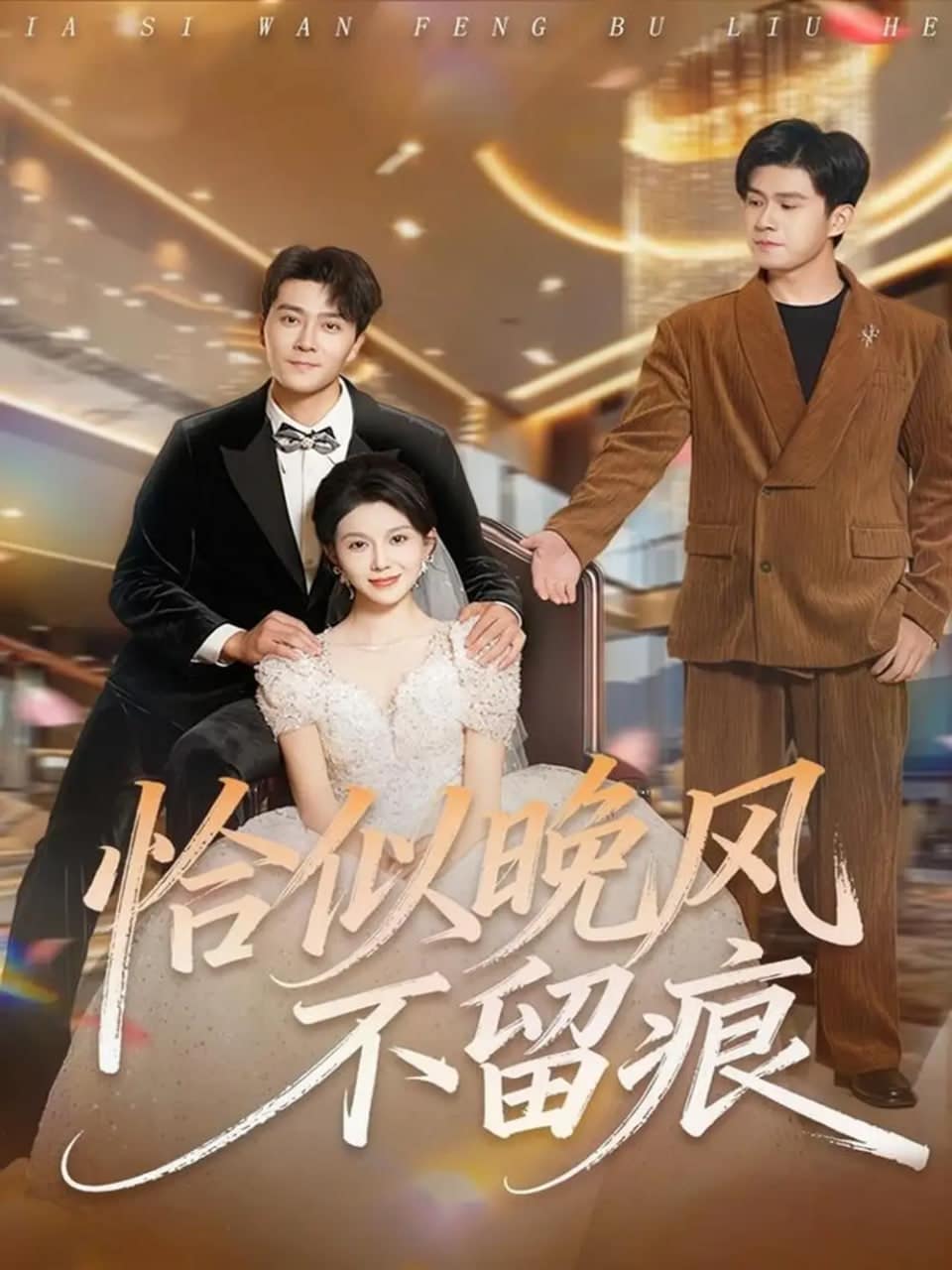 恰似晚风不留痕封面