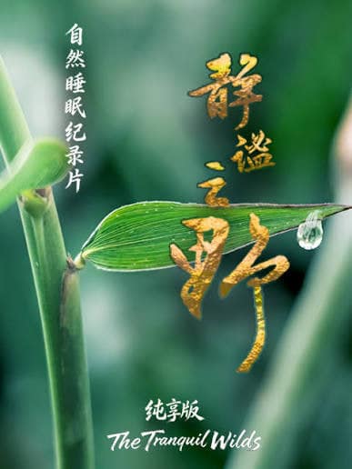 静谧之野 纯享版封面