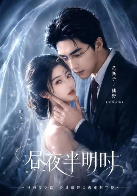 昼夜半明时封面