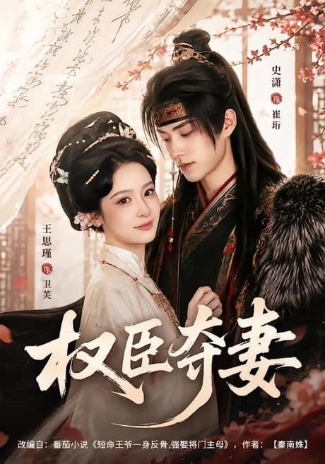 权臣夺妻封面