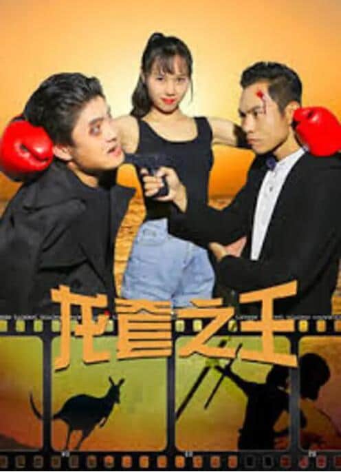 龙套之王封面