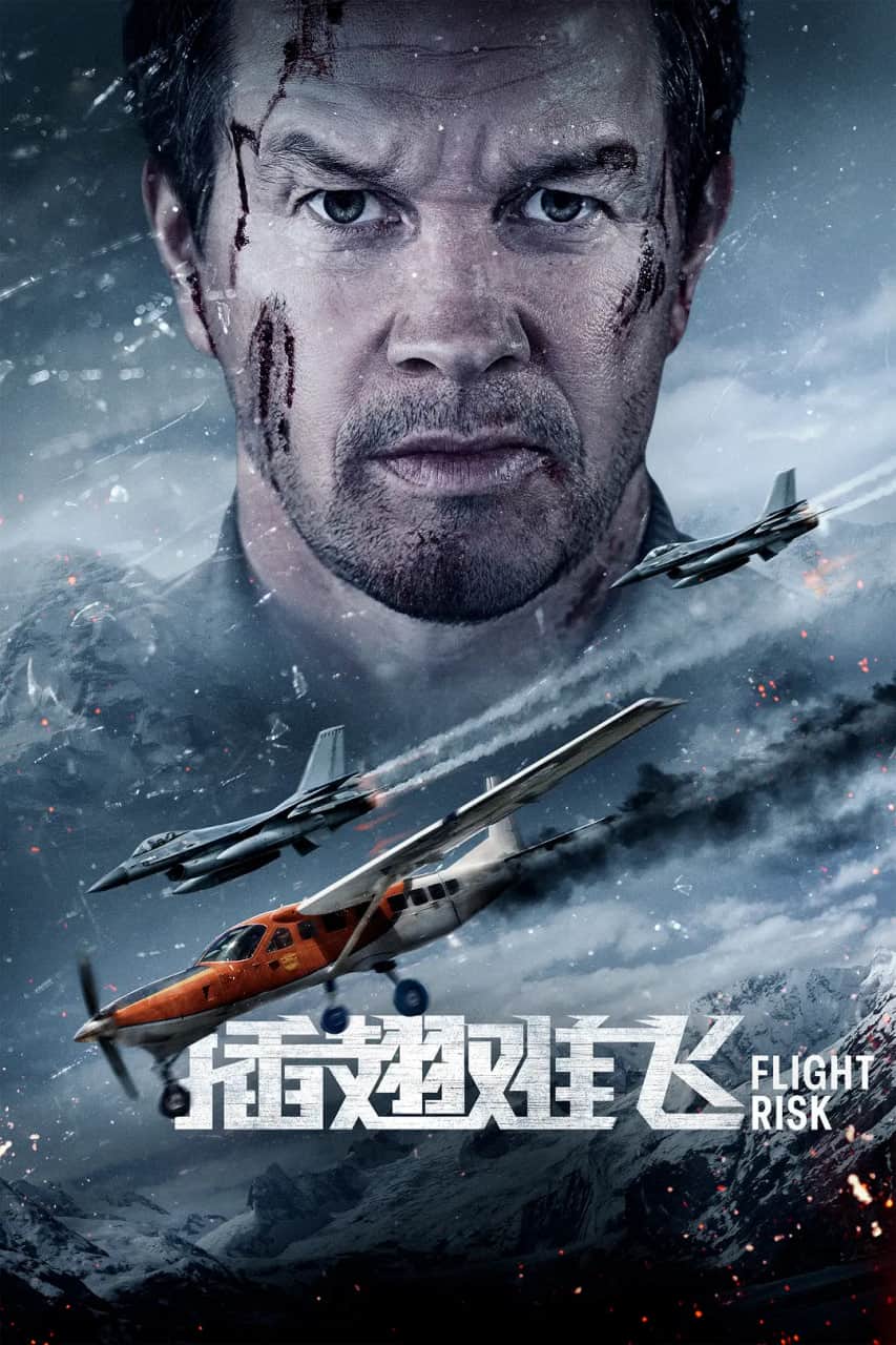 插翅难飞 2025封面