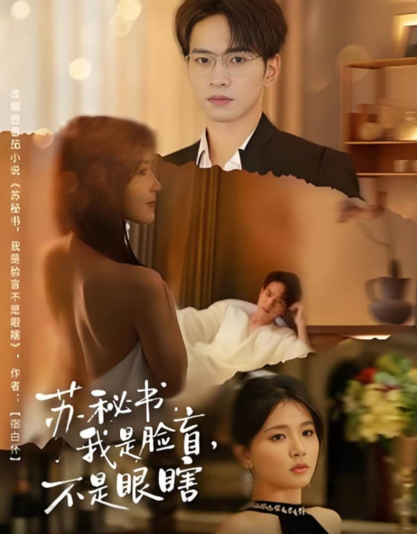 苏秘书我是脸盲不是眼瞎封面