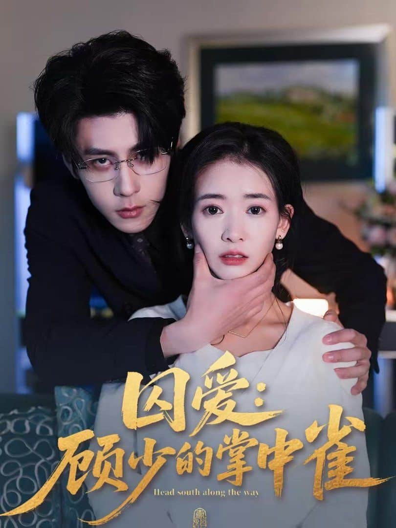 囚爱:顾少的掌中雀封面