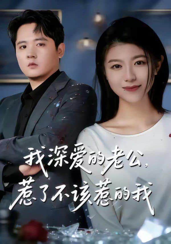 我深爱的老公,惹了不该惹的我封面