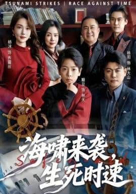 海啸来袭,生死时速封面