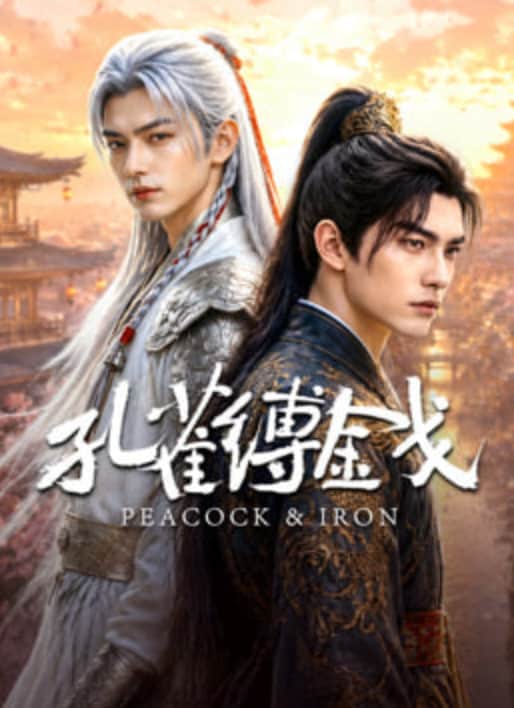 孔雀缚金戈封面