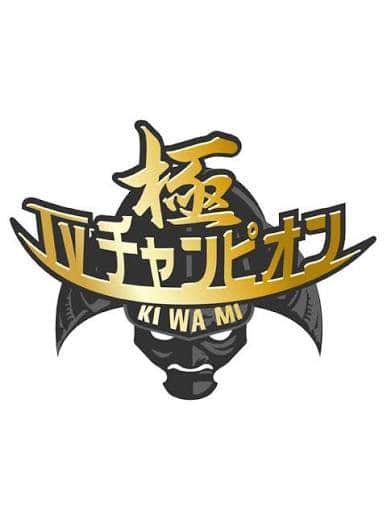 电视冠军之极封面