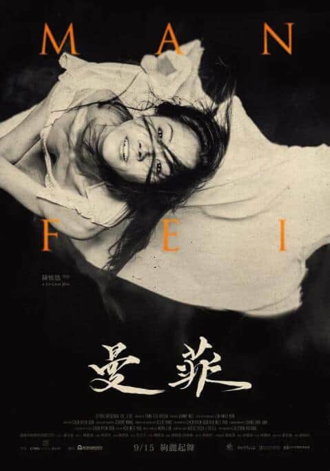 曼菲封面