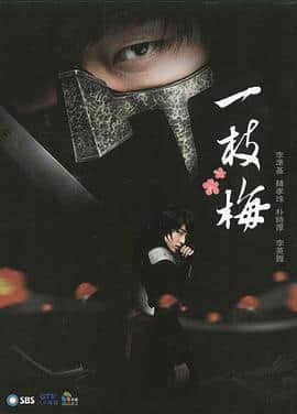 一枝梅封面