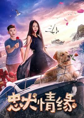 忠犬情缘封面