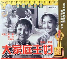 大家庭主妇封面