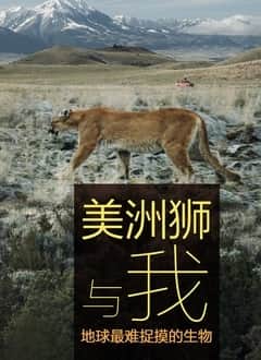美洲狮与我封面
