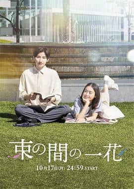一霎一花封面