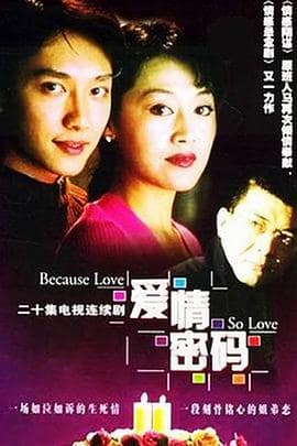爱情密码封面