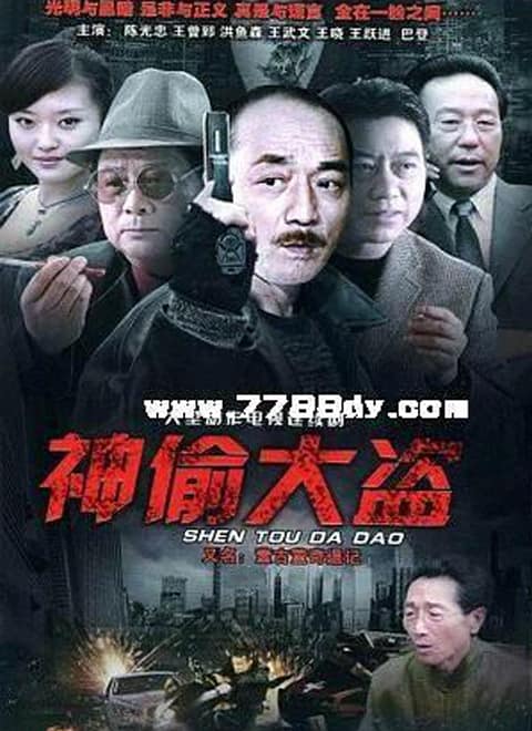 神偷大盗封面