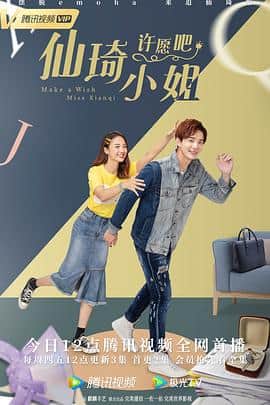 仙琦小姐许愿吧封面