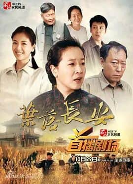 叶落长安封面