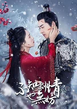 不知剧情也无妨封面