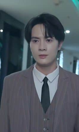 凛冬散尽星河长明封面