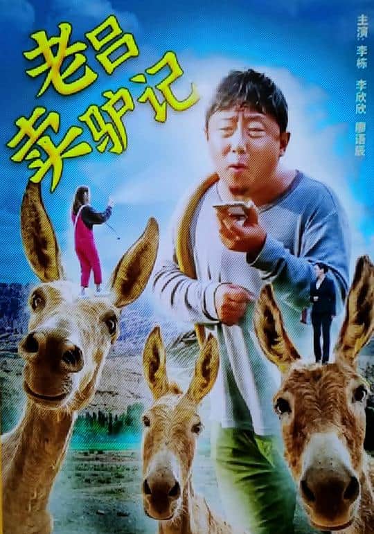 老吕卖驴记封面