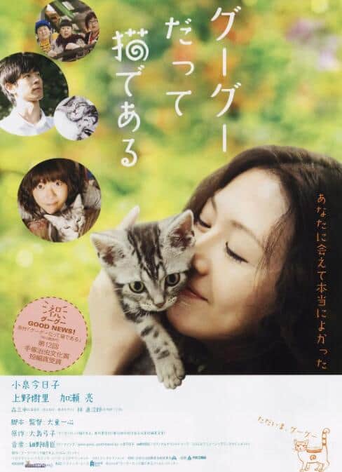 咕咕是一只猫封面