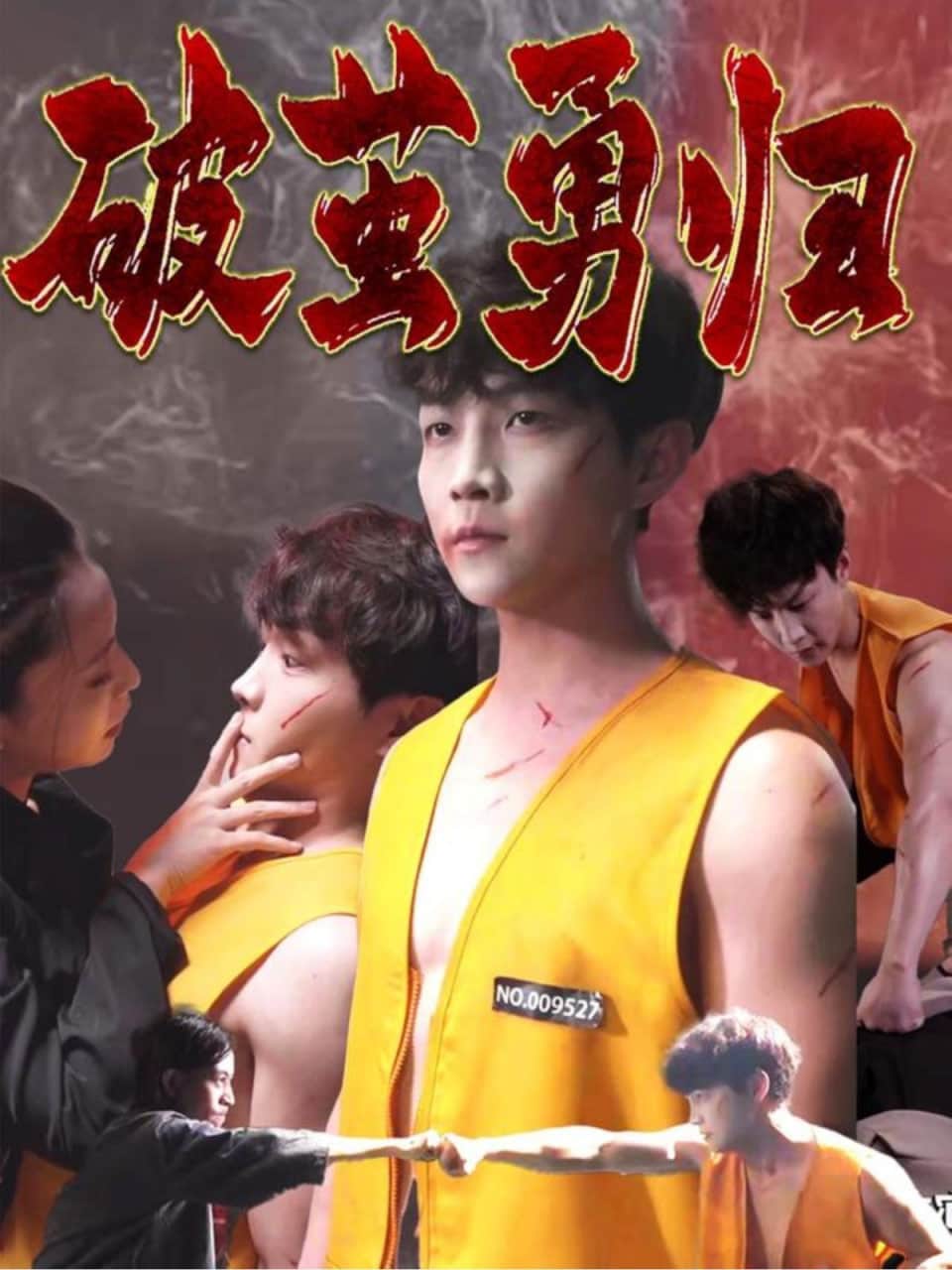 破茧勇归封面