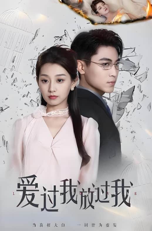 爱过我放过我封面
